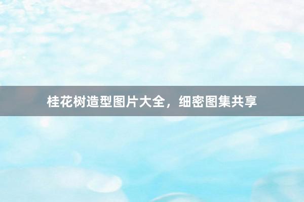 桂花树造型图片大全，细密图集共享